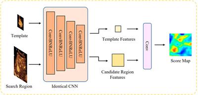 Long-term liver lesion tracking in contrast-enhanced ultrasound videos via a siamese network with temporal motion attention